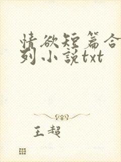 情欲短篇合集系列小说txt封面