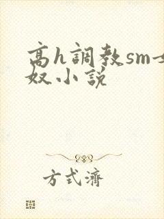 高h调教sm女奴小说