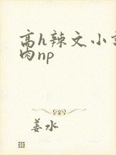 高h辣文小说纯肉np