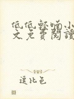 低低轻喃小说全文免费阅读笔趣阁