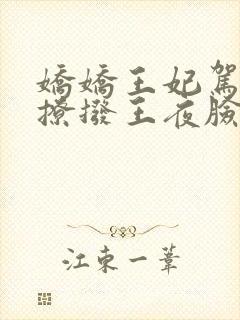 娇娇王妃驾到,撩拨王夜脸红心跳