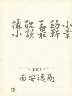 摄政王的小闲妻小说最新章节