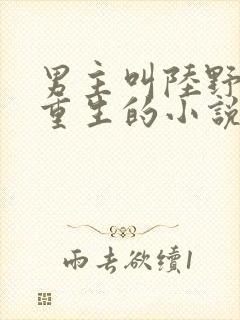 男主叫陆野女主重生的小说