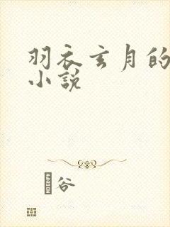 羽衣玄月的火影小说