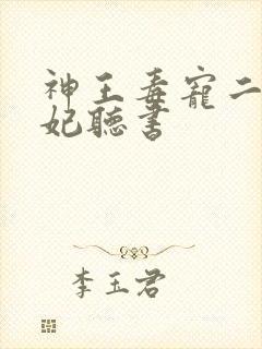 神王毒宠二嫁王妃听书