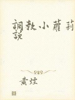 调教小萝莉h小说封面