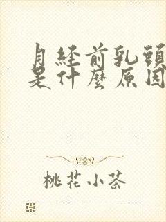 月经前乳头疼痛是什么原因