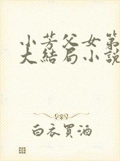小芳父女第1部大结局小说