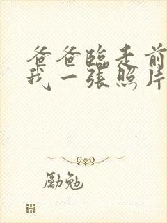 爸爸临走前留给我一张照片小说免费阅读