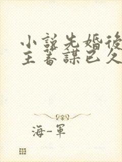 小说先婚后爱男主蓄谋已久