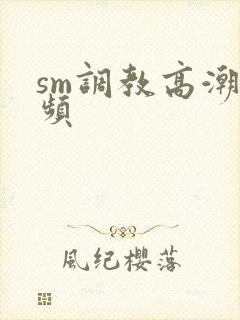 sm调教高潮视频封面