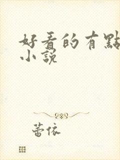 好看的有点h的小说