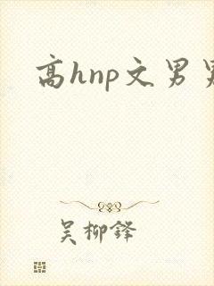 高hnp文男男