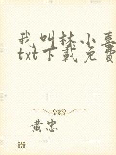我叫林小喜小说txt下载免费