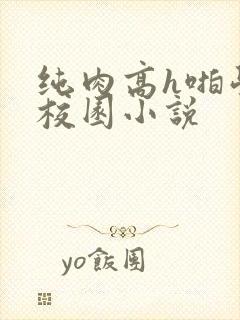 纯肉高h啪学生校园小说