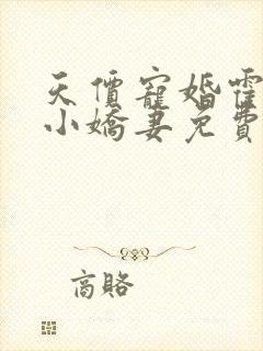 天价宠婚霍总的小娇妻免费阅读