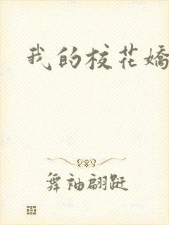 我的校花娇妻的封面