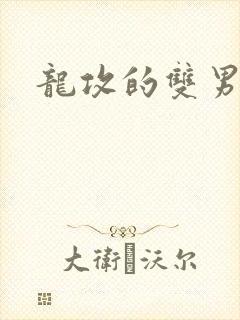 龙攻的双男小说