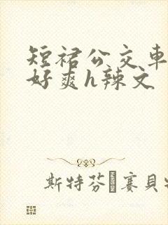 短裙公交车被强好爽h辣文