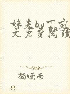 妹夫by丁宛全文免费阅读笔趣阁