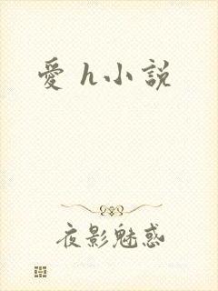 爱 h小说封面