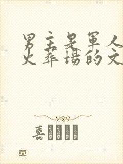 男主是军人追妻火葬场的文