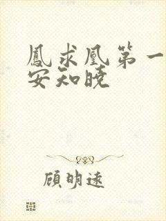 凤求凰第一皇妃安知晓封面