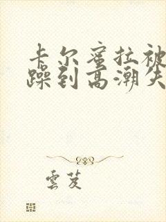 卡尔蜜拉被狂c躁到高潮失禁小说