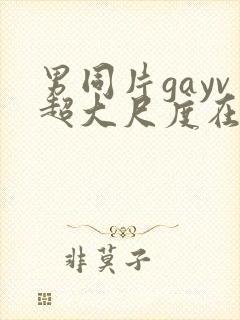 男同片gayv超大尺度在线观看网站