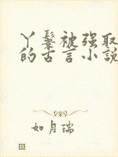 丫鬟被强取豪夺的古言小说