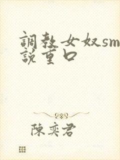 调教女奴sm小说重口封面