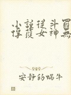 小说从斗罗开始俘获女神无弹窗封面