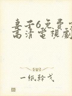 妻子6免费完整高清电视剧在线看封面