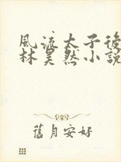 风流太子后宫传林昊然小说在线阅读