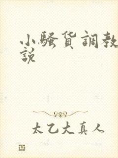 小骚货调教h小说封面