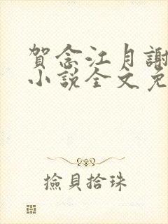 贺念江月谢泊年小说全文免费阅读笔趣阁封面