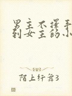 男主不择手段得到女主的小说