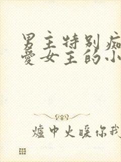男主特别痴情深爱女主的小说