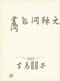 书包网辣文小说网