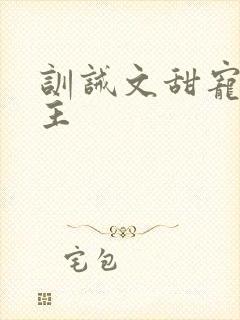 训诫文甜宠双男主封面