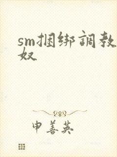 sm捆绑调教男奴