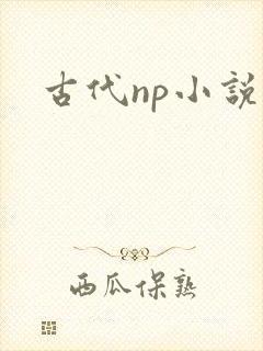 古代np小说h