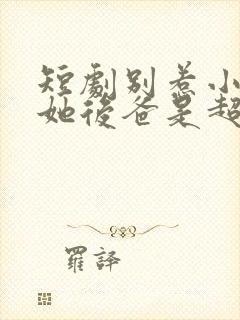 短剧别惹小小姐她后爸是超级女儿奴