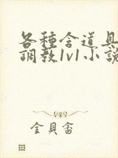 各种含道具高h调教1v1小说