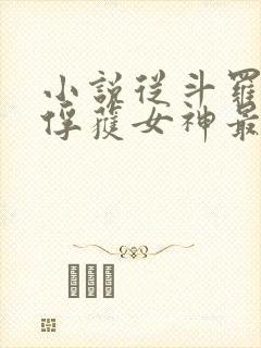 小说从斗罗开始俘获女神最新章节