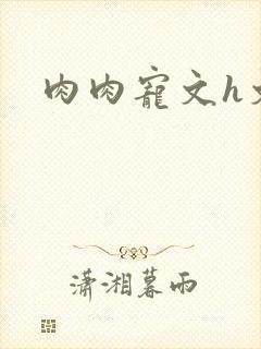 肉肉宠文h文封面