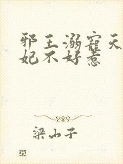 邪王溺宠天才毒妃不好惹封面