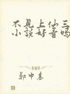 不见上仙三百年小说好看吗封面