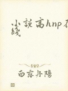 小说高hnp在线