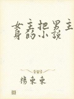 女主把男主当替身的小说
